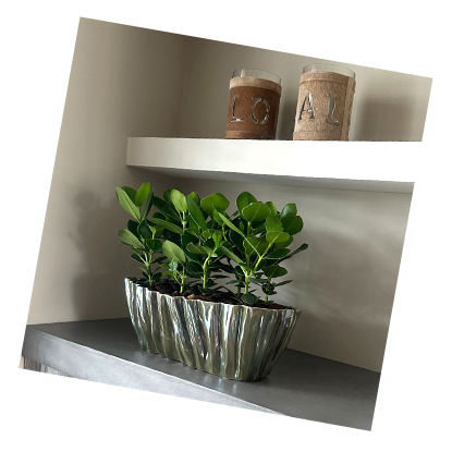CK Bloemstyling | Claudia Konings Bloemstylist